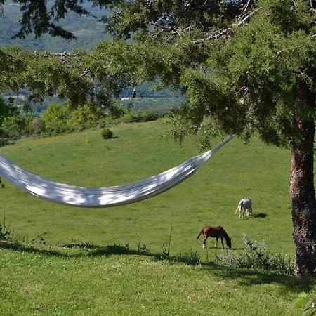 Le Vieil * Aiglun (Alpes-de-Haute-Provence)
